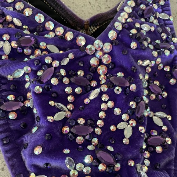 NPC Figure Suit - Purple Velvet & Clear Crystals - C/D Cup & Size 4 Bottom - Picture 5 of 5